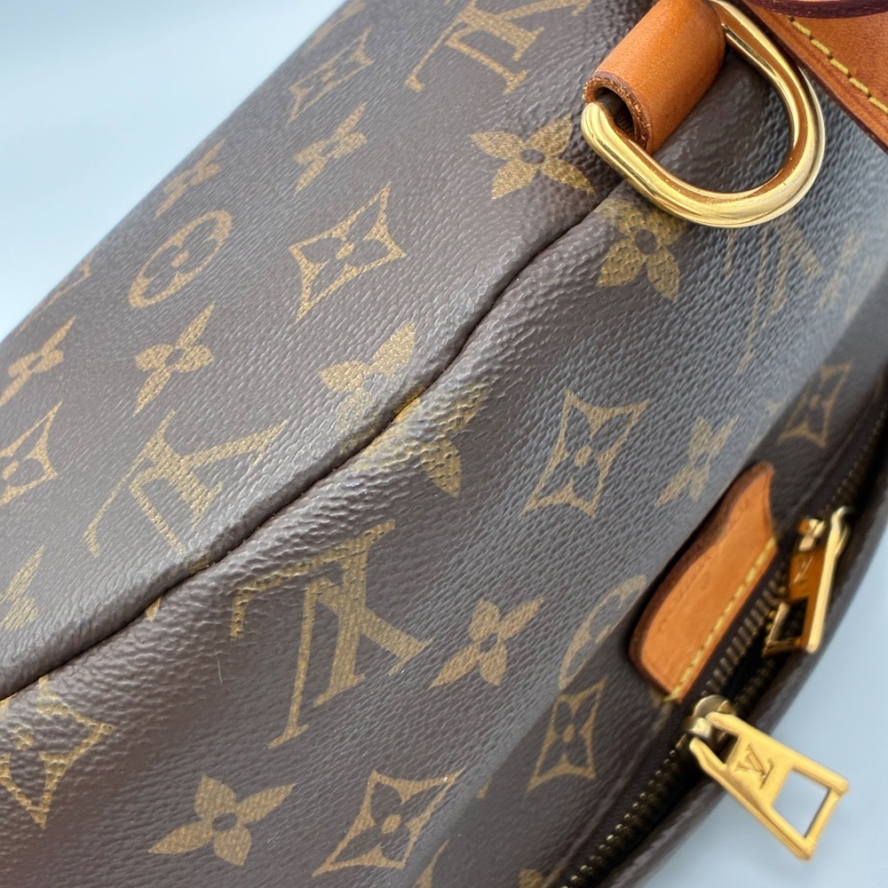 Louis Vuitton Bumbag - Picture 10 of 16